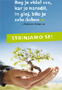 izdelava, splet, izdelava strani, optimizacija, marketing, gostovanje, internet